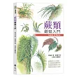 蕨類觀察入門