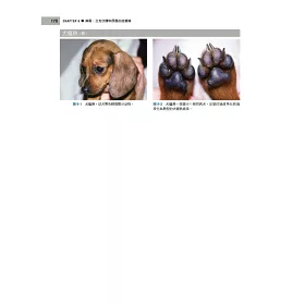 博客來 小動物皮膚病學 4版 博客來 小動物皮膚病學 4版