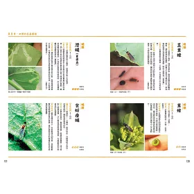 博客來 蟲蟲的迫降 無農藥栽培家庭菜園 想要培育出美味的蔬菜 就必須要借助蟲蟲的力量 博客來 蟲蟲的迫降 無農藥栽培家庭菜園 想要培育出美味的蔬菜 就必須要借助蟲蟲的力量