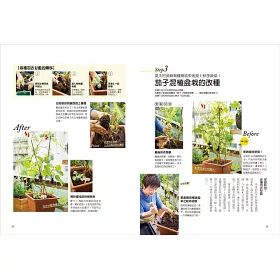 博客來 日日豐收的混植蔬菜盆栽 一盆混栽 四季共生 零農藥化肥 遠離病蟲害 一坪小陽台也能打造多元豐盛的菜園 博客來 日日豐收的混植蔬菜盆栽 一盆混栽 四季共生 零農藥化肥 遠離病蟲害 一坪小陽台也能打造多元豐盛的菜園