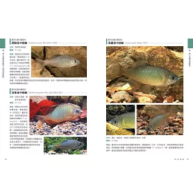 博客來 世界溫帶淡水魚圖鑑 博客來 世界溫帶淡水魚圖鑑