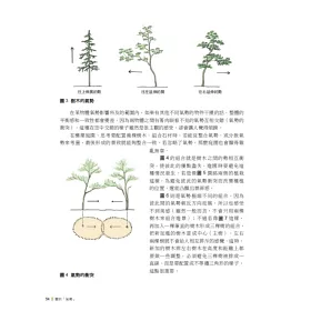 博客來 圖解日式自然風庭園 向昭和紀念公園造園名家小形研三學小庭園美學和造園手法 博客來 圖解日式自然風庭園 向昭和紀念公園造園名家小形研三學小庭園美學和造園手法