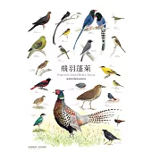 臺灣野生動物手繪海報(1套8張)