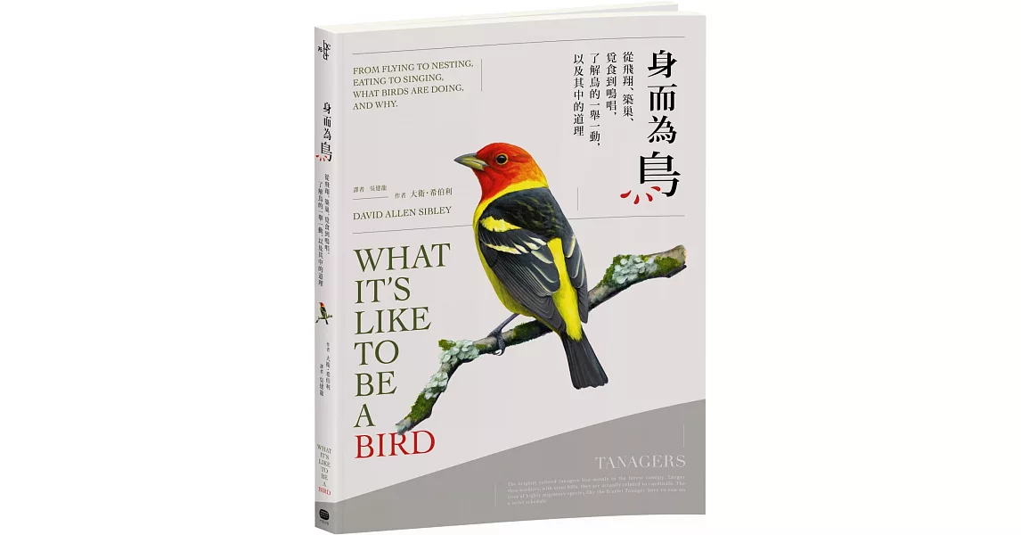 身而為鳥：從飛翔、築巢、覓食到鳴唱，了解鳥的一舉一動，以及其中的道理 | 拾書所