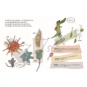 博客來 微生物小祕密系列1 4 破除刻板印象 認識生活中無所不在的細菌 病毒 真菌 原生生物 共四冊 博客來 微生物小祕密系列1 4 破除刻板印象 認識生活中無所不在的細菌 病毒 真菌 原生生物 共四冊