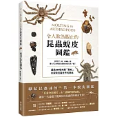 令人歎為觀止的昆蟲蛻皮圖鑑：透過288種美麗「蟲蛻」來探索昆蟲世界的奧祕