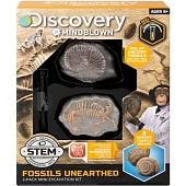 Discovery 遠古化石迷你挖掘套組(2入)
