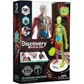 Discovery 夜光版人體探索3D拼圖(28件組)
