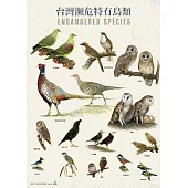 台灣瀕危特有鳥類手繪海報