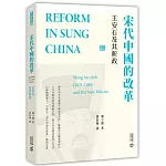 宋代中國的改革：王安石及其新政