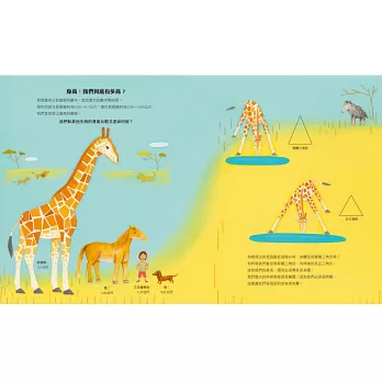 《長頸鹿的數學世界GIRAFFE MATH》Stephen 《長頸鹿的數學世界GIRAFFE MATH》Stephen