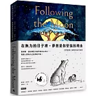 在無力的日子裡,夢想是你堅強的理由:大野狼與小邊牧的追月旅程