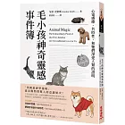 毛小孩神奇靈感事件簿:心電感應、共時性,和牠們深愛人類的證明