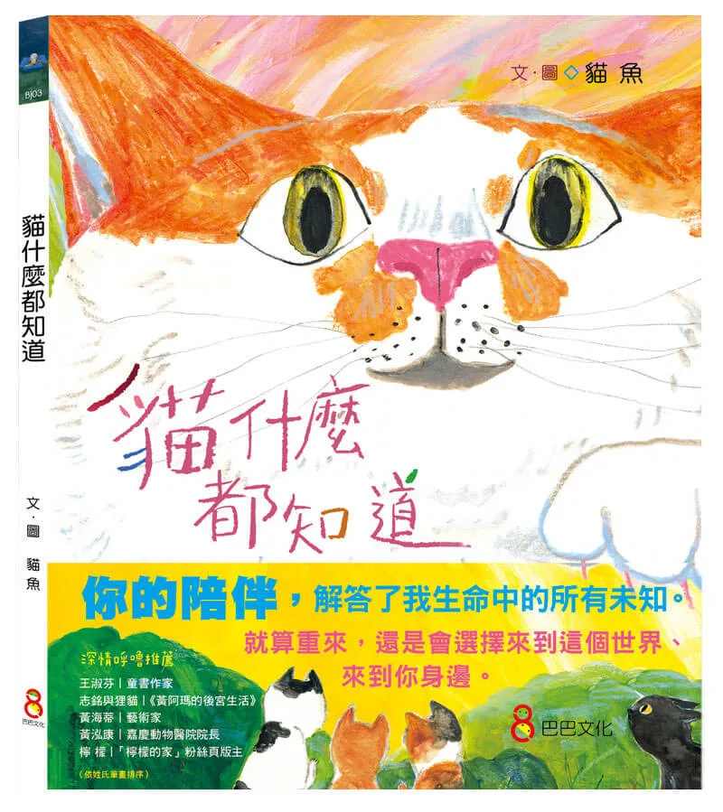 貓什麼都知道 書封