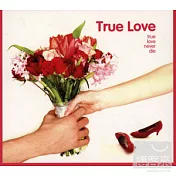 V.A. / True Love(《戀戀真心》浪漫原聲帶 系列)