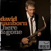 David Sanborn / Here & Gone