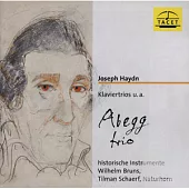 Klaviertrios u.a. Abegg Trio historische Instrumente Wilhelm Bruns, Tilman Schaerf, Naturhorn