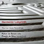 Harmonic Labyrinth / Rohan de Saram, Preethi de Silva