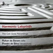 Harmonic Labyrinth / Rohan de Saram, Preethi de Silva