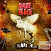 Mr. Big / What If… (CD+DVD)