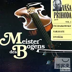 Tchaikovsky violin concerto / Prihoda
