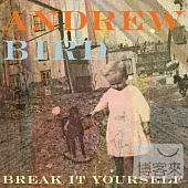 Andrew Bird / Break It Yourself 【CD+DVD】