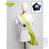 BIGBANG / BIGBANG 2012 STILL ALIVE環保袋 TAEYANG款 (亮綠色)