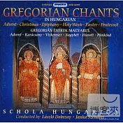Gregorain Chants in Hungarian / Schola Hungarica
