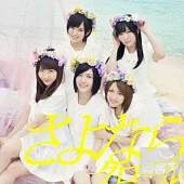 AKB48 / 再見自由式 (日本進口普通版 Type-B, CD+DVD)