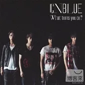 CNBLUE / What turns you on? (日本進口普通版)