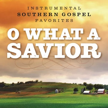 V.A. / O What a Saviour / Instrumental Southern Gospel Favorites