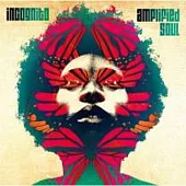 Incognito / Amplified Soul