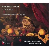 Johann Sebastian Bach : Flötensonaten BWV 525-528,583,587 / Wilbert Hazelzet , Jacques Ogg