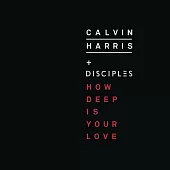 Calvin Harris + Disciples / How Deep Is Your Love