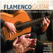 西班牙佛朗明哥吉他歌曲集 (3CD)(Flamenco Guitar (3CD))