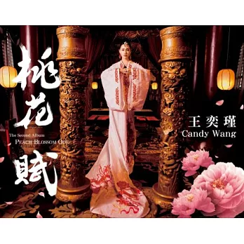 王奕瑾 / 桃花賦 (CD+DVD)