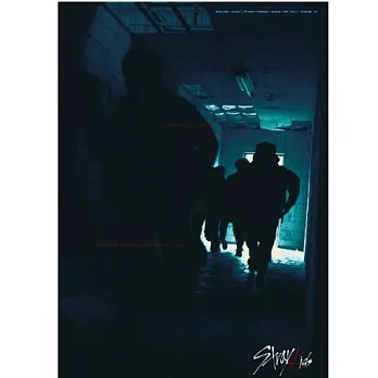 Stray Kids / I am NOT Special Edition 台灣獨占精華盤 (CD+DVD)