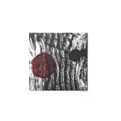 Forest 森林 / Idol Collapse (LP黑膠唱片)