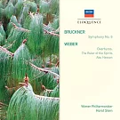 指揮大師史坦 / 布魯克納第六號交響曲 (原始唱片加收的曲目完整收錄)