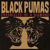 Black Pumas / Chronicles Of A Diamond (進口版LP彩膠唱片)