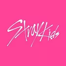 STRAY KIDS - 樂-STAR (MINI ALBUM) 迷你專輯 2版合購 (韓國進口版)