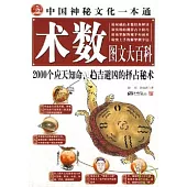 術數圖文大百科：中國神秘文化一本通(超值珍藏版)