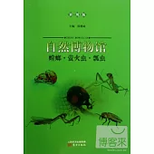 自然博物館：螳螂·螢火蟲·瓢蟲(彩圖版)