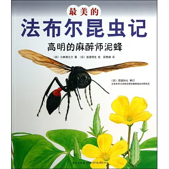 最美的法布爾昆蟲記：高明的麻醉師泥蜂