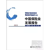 中國保險業發展報告 2013