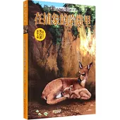 中國動物小說品藏書系：在捕象的陷阱里