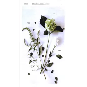 博客來 四季花束 博客來 四季花束