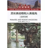 靈長類動物和人類祖先：上新世時期