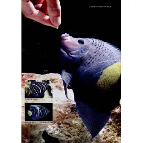 博客來 世界海水魚圖鑒 600種海水魚飼養與鑒賞圖典 博客來 世界海水魚圖鑒 600種海水魚飼養與鑒賞圖典