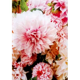 博客來 花工坊 白宮花藝大師的自然風精品課 博客來 花工坊 白宮花藝大師的自然風精品課